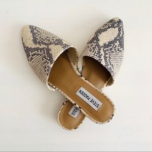 Steve Madden Trace snakeskin Mules